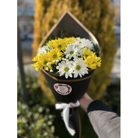 Sarı Beyaz Papatya Buketi