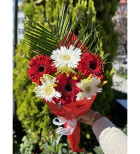 Beyaz Kırmızı Cerbera