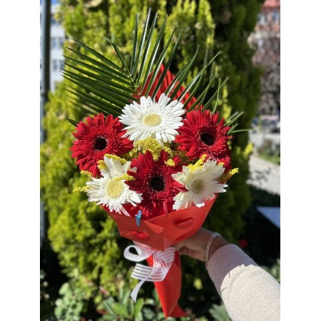 Beyaz Kırmızı Cerbera