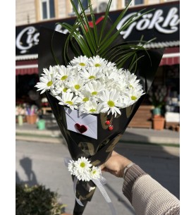 Papatya Buketi