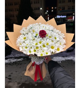 Mega Papatya Gül Buketi