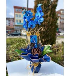 İthal Özel Mavi Orkide