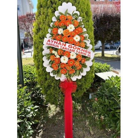 Canlı Çelenk Modeli