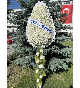 EXRA CERBERALI ÇELENK